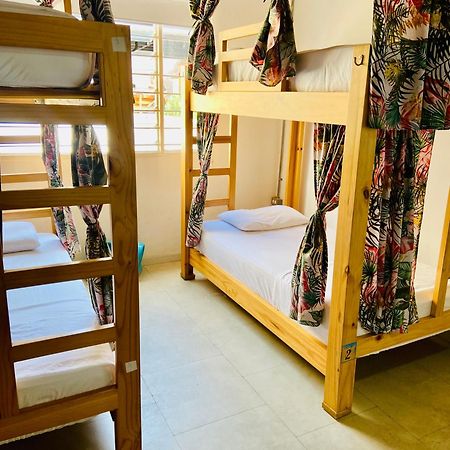 Oasis Cali Hostel المظهر الخارجي الصورة